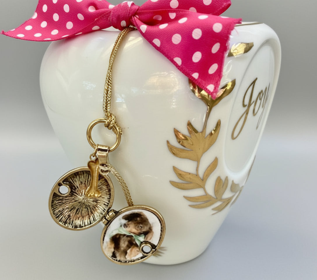 Pet Urn
